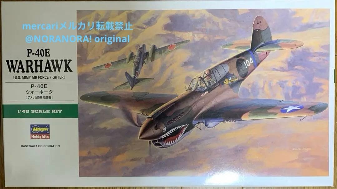 1/48 カーチスP-40E ウォーホークJT86プラモデル 完成品