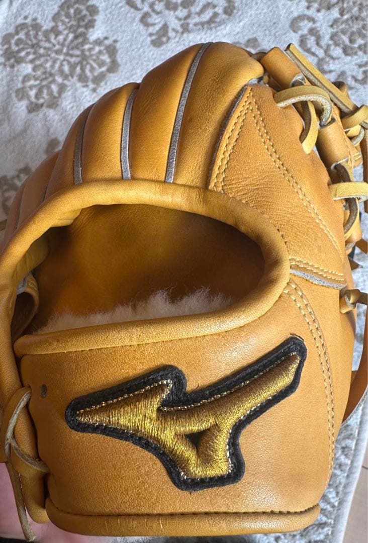 硬式 ミズノプロ 波賀 グローブ