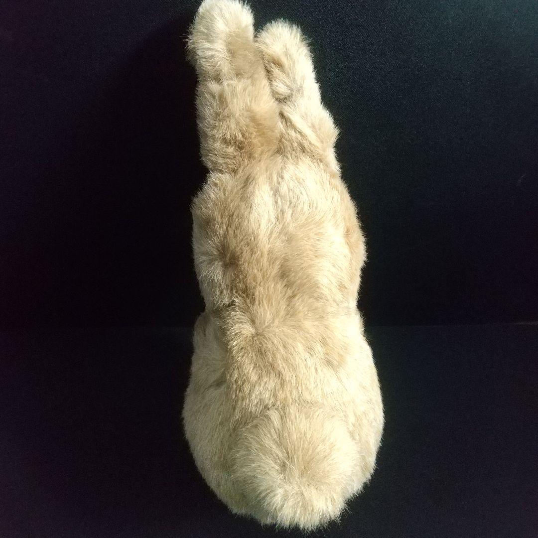 ウサギ　うさぎ