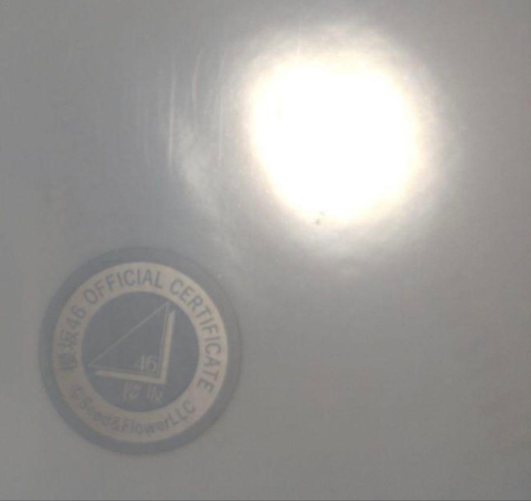 山崎天 サイン入り