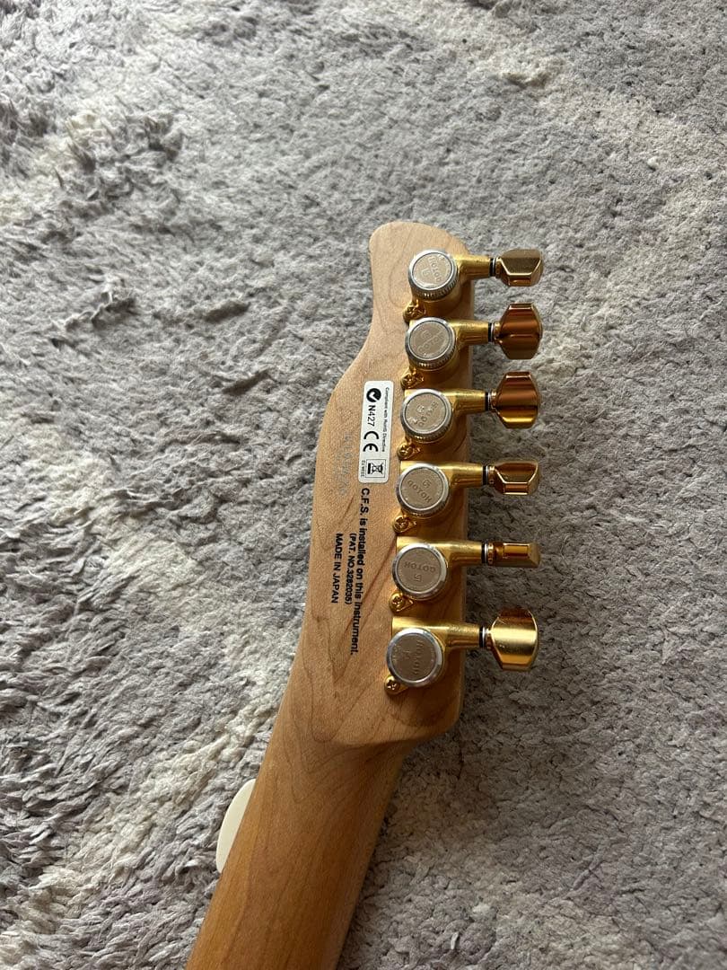 ギター FNG FUJIGEN JIL-ASH-DE664 EMG