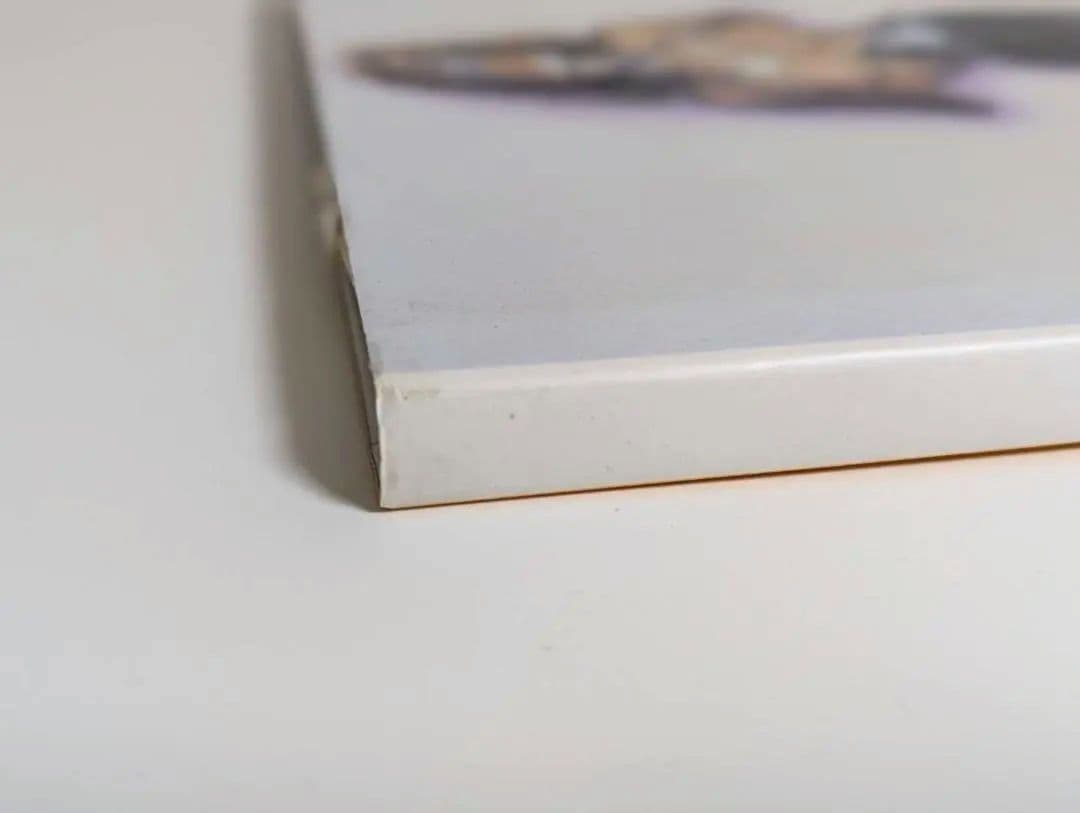 空山基 ガイノイド THE GYNOIDS イラスト集 画集