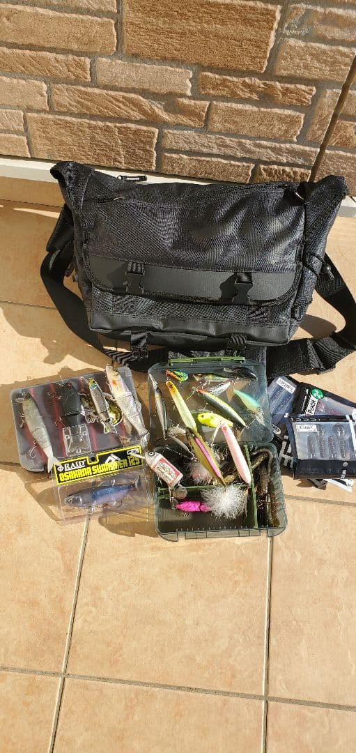 バス釣り引退セットスティーズAⅡデジーノレーベンエムスラ