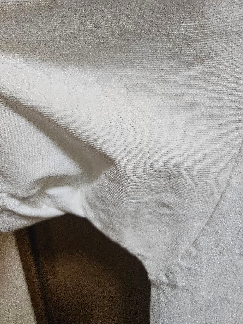 THE DEAD MILKMEN Tシャツ