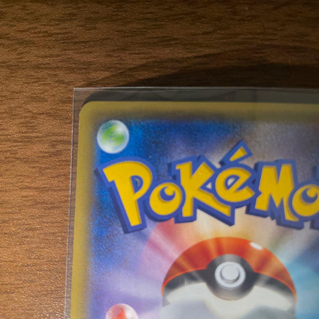 ポンチョを着たピカチュウ　緑　レックウザ