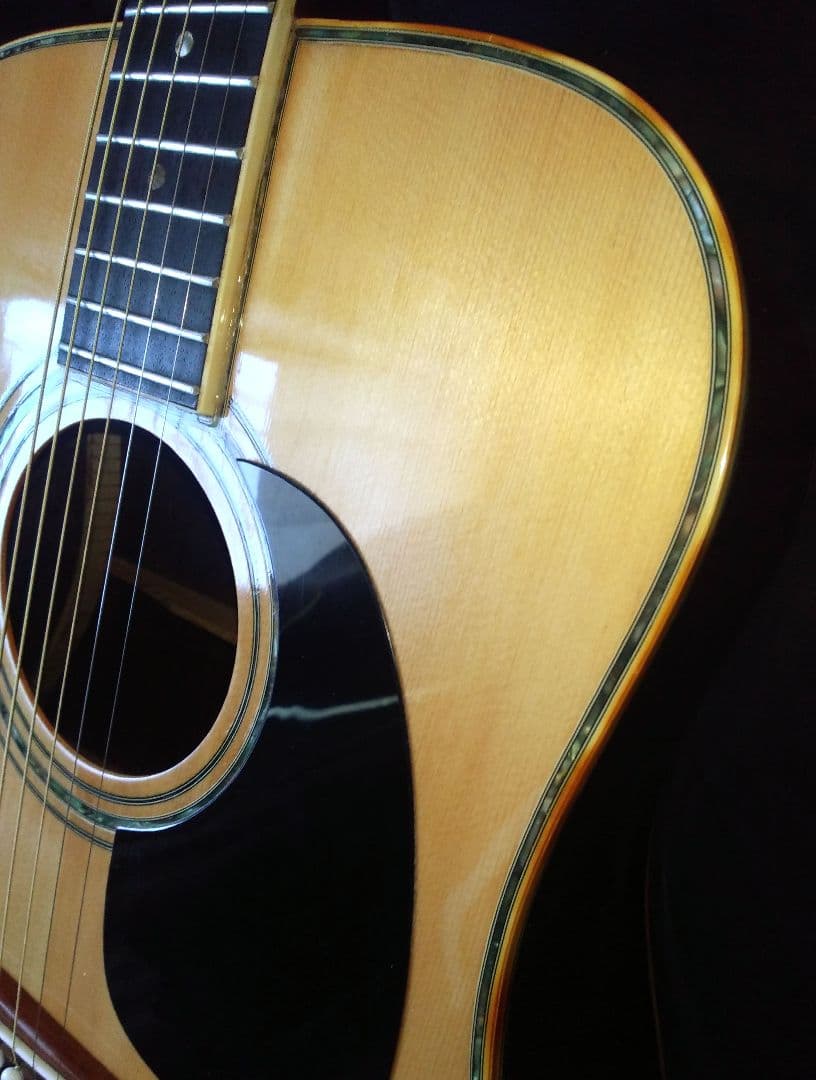 Fernandes　フェルナンデス　w-300　縦ロゴ　美品