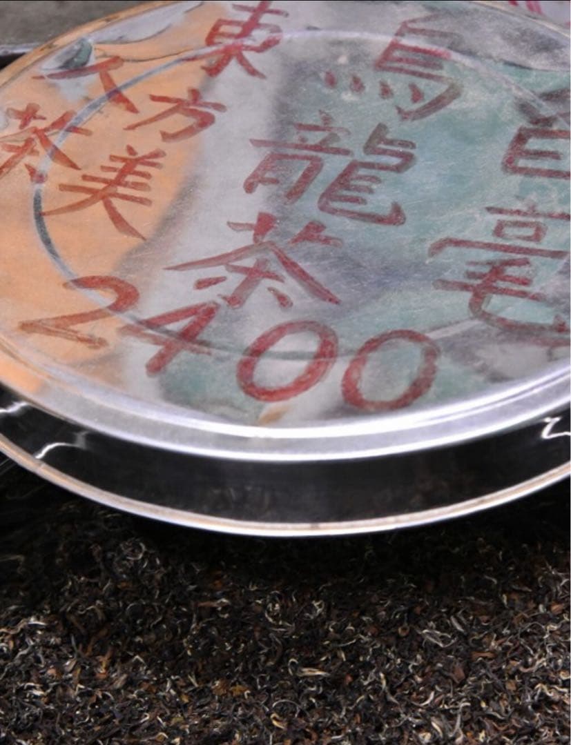 たまちゃんページ