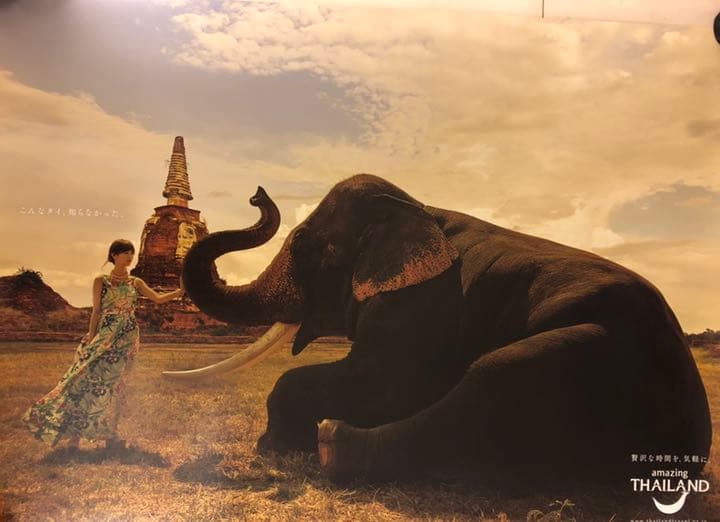 【非売品】乃木坂46 激レアポスター5枚セット(B2サイズ)