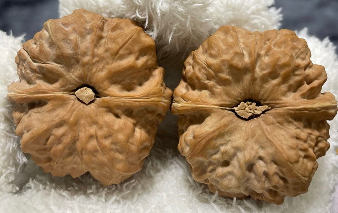 セール中48蛤蟆头 クルミ文玩核桃