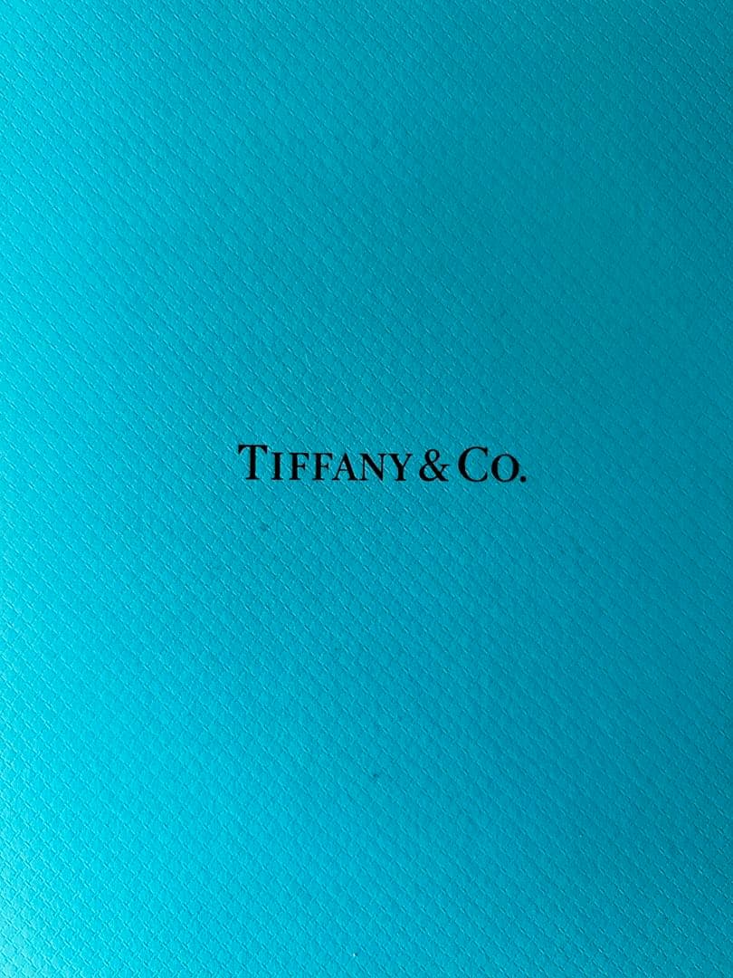 【TIFFANY &Co.】新品未使用限定ディッシュプレート2枚