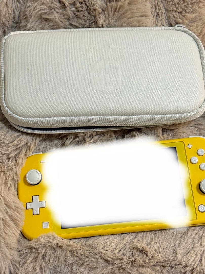 Switch らいと　　カセット２つ　　ケース　　セット