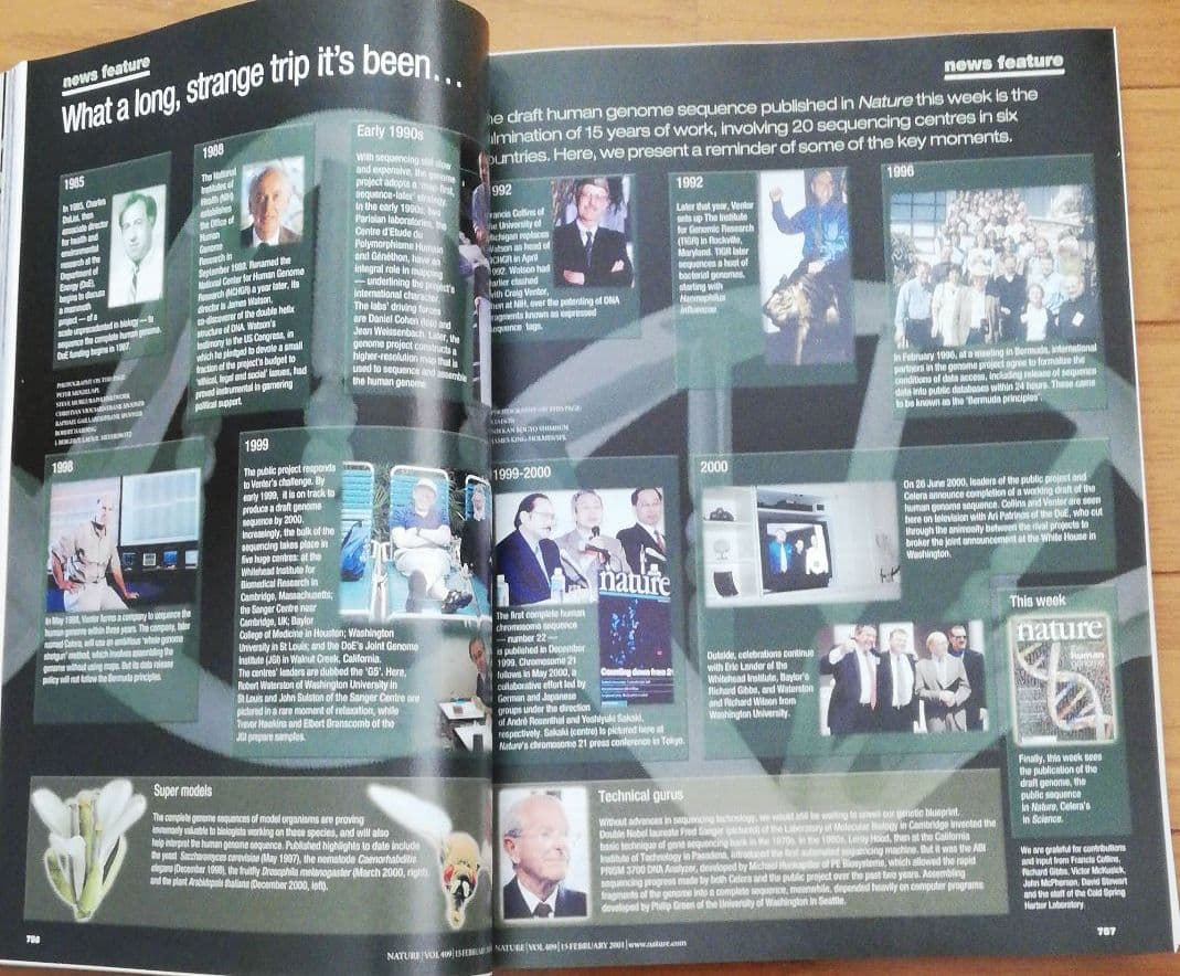 ネイチャー　ヒトゲノム特集号　2冊組