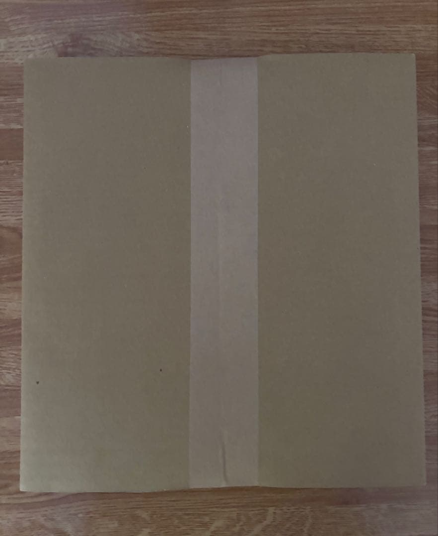 高橋礼投手　プロ初勝利記念 直筆サイン入りフォト