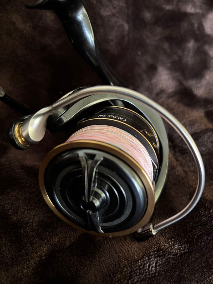 DAIWA CALDIA／カルディア SW5000-CXH