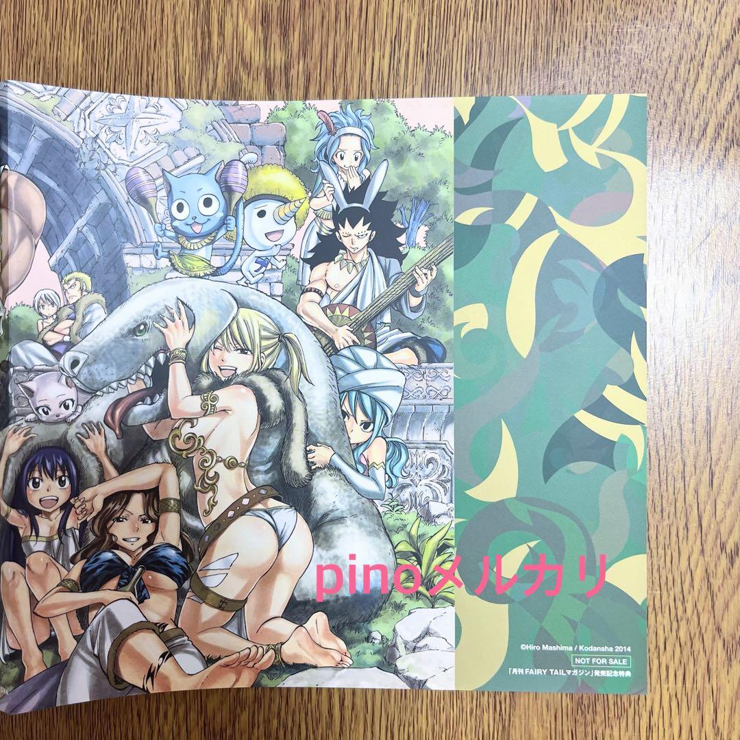 FAIRY TAIL ブックカバー 着せ替えカバー　真島ヒロ　レア　非売品　漫画