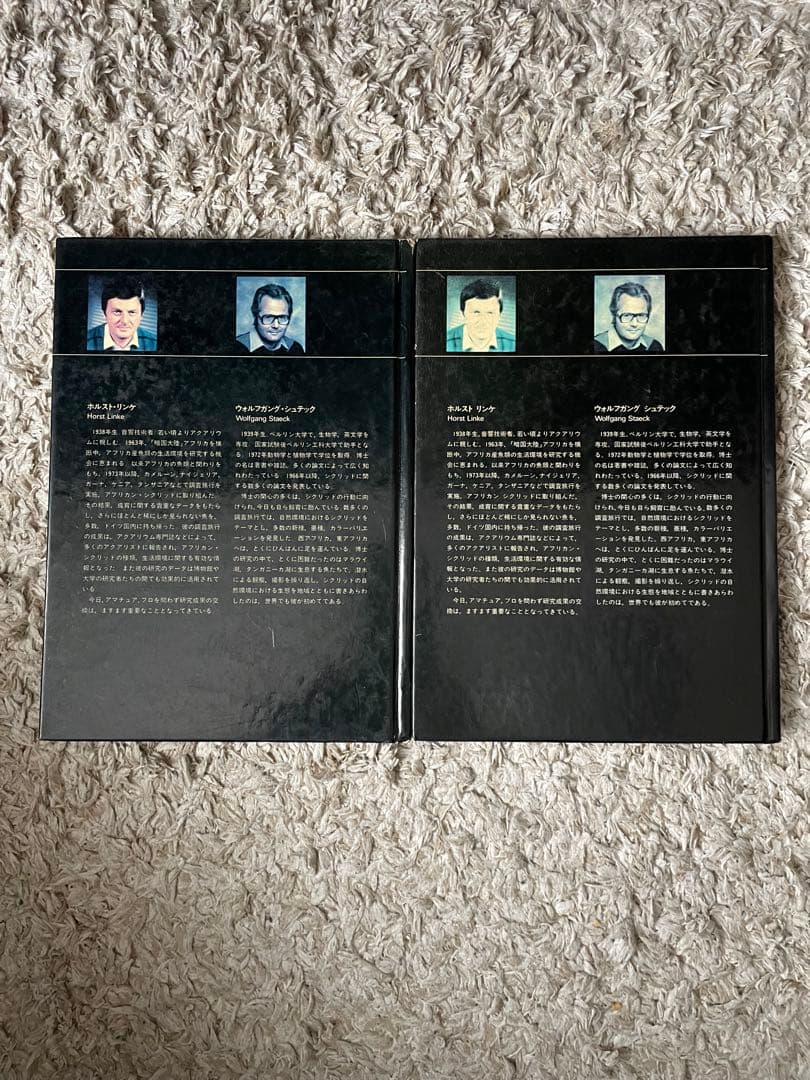 アフリカン　シクリッド(上)、西アフリカ産　シクリッド（下）東アフリカ産セット