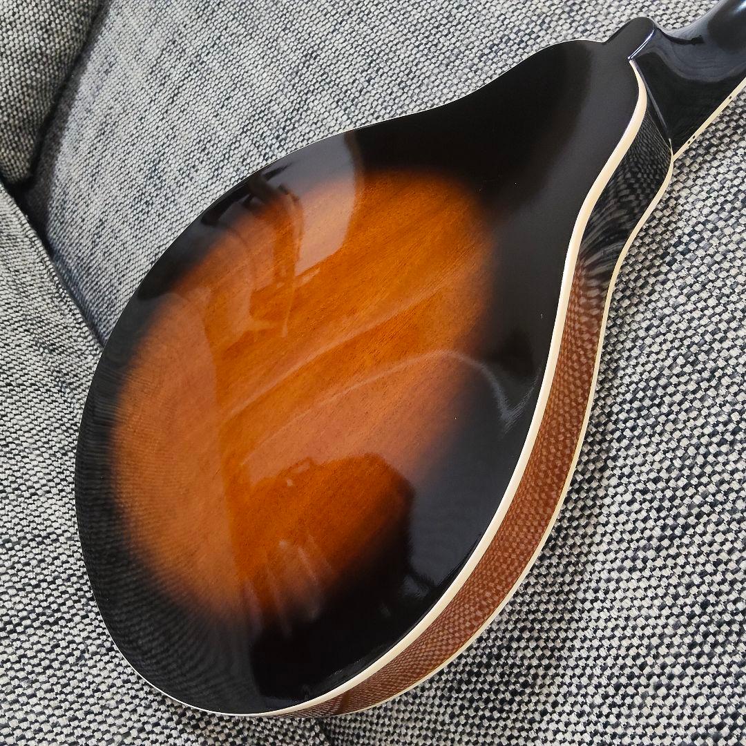 ARIA AM-20 マンドリン 8弦