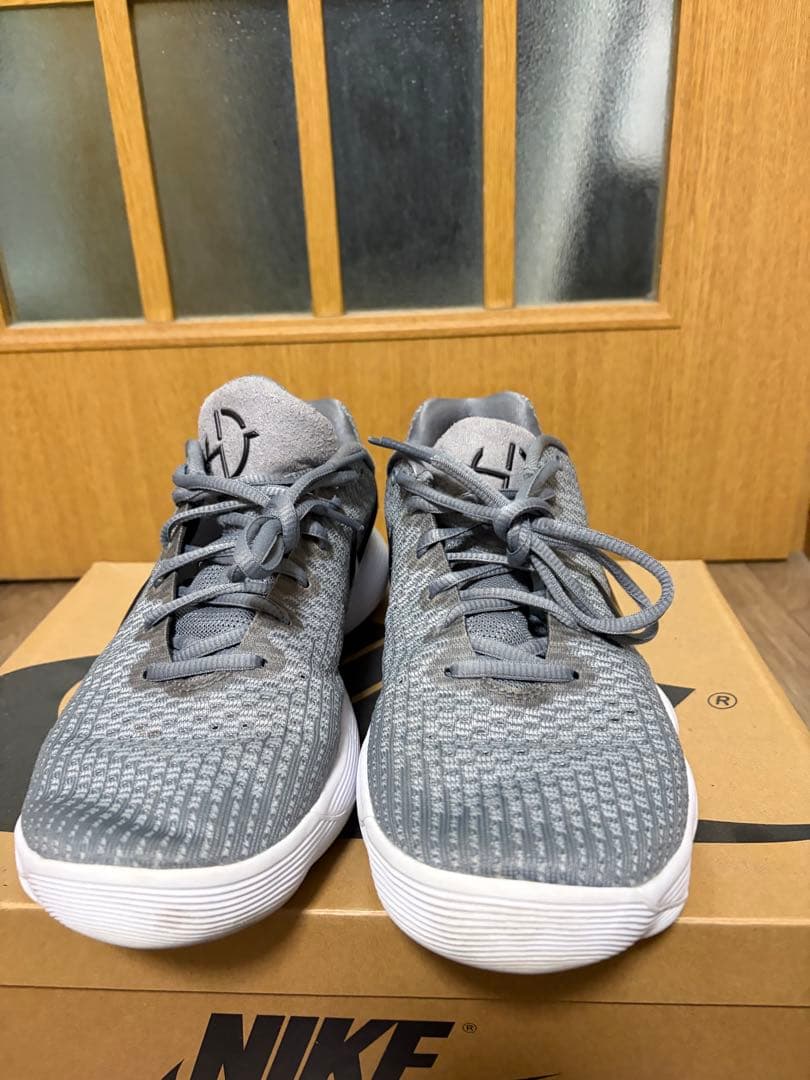 NIKE ハイパーダンク 2017ロー　海外限定カラー