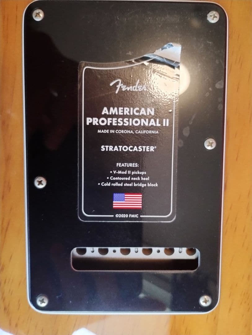 ギター FenderProfessionalII Stratocaster