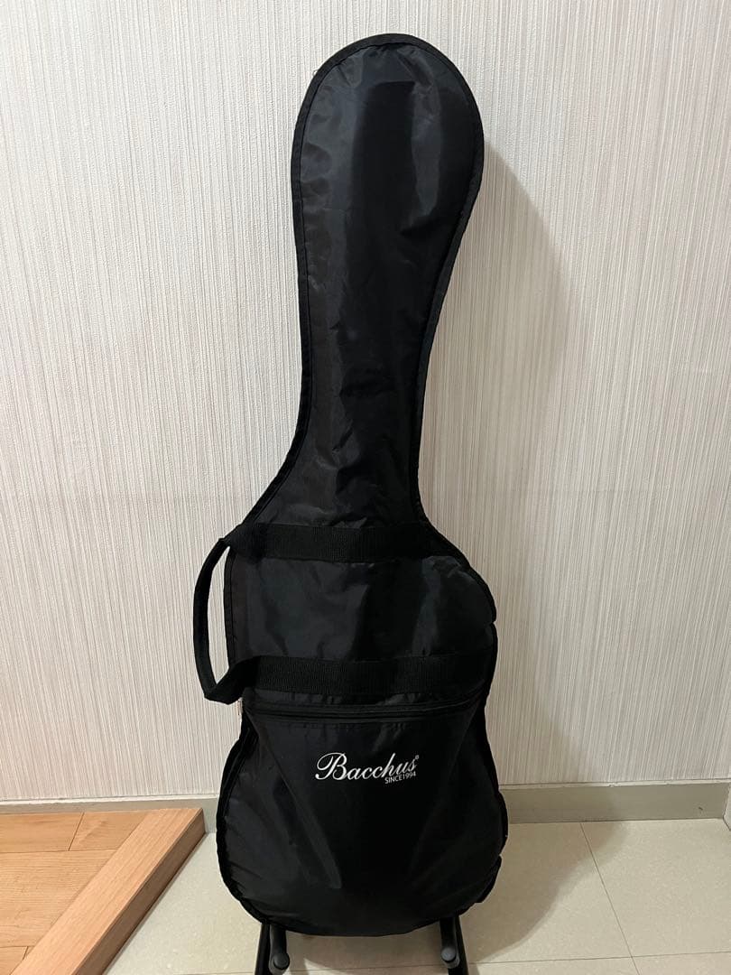 Bacchus BTE-1/M BBD バッカス テレキャスタイプ スタンド付き