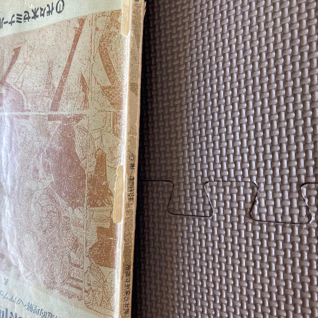 【最安値】代ゼミテキスト 武井の体系世界史 構造的理解へのアプローチ 武井正教