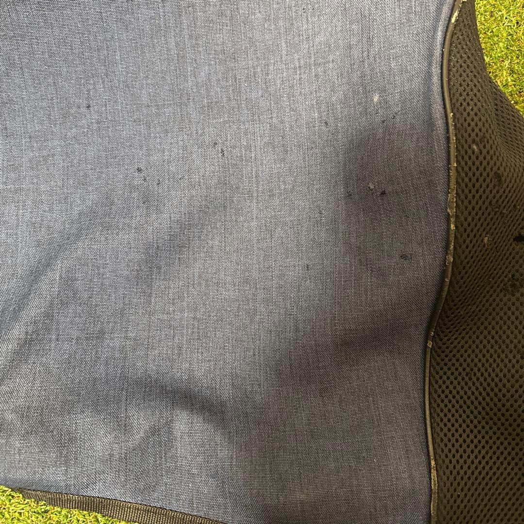 XXIO ゼクシオ キャディバッグ 10型 3kg 2020年モデル