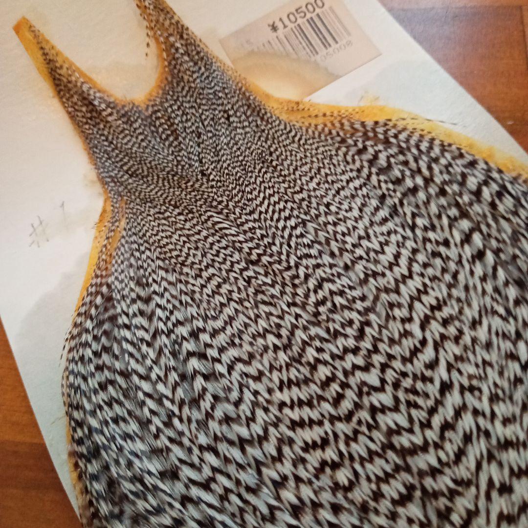 メッツ　コックネック　グリズリー 　♯1　ハックル