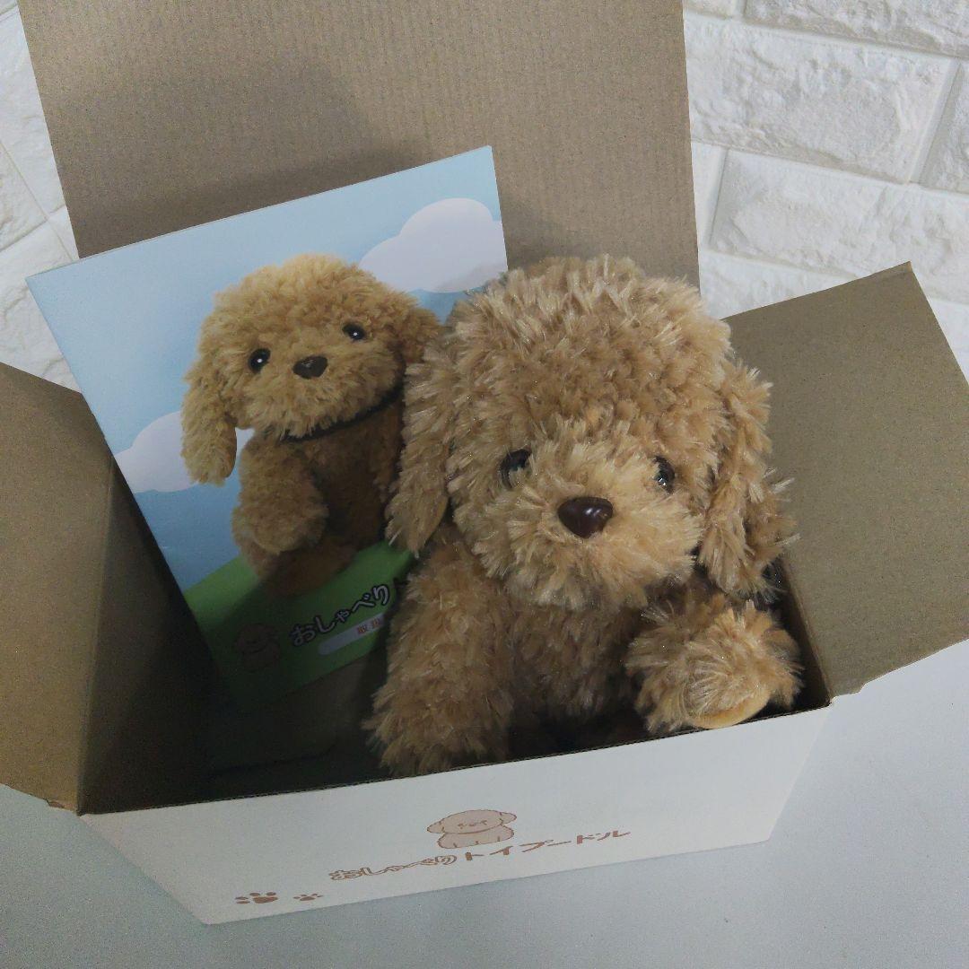 音声認識ぬいぐるみ おしゃべりトイプードル　ショップチャンネル