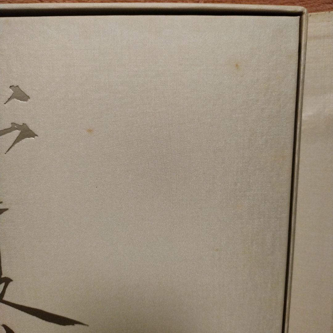 【特装版】松井冬子　画集