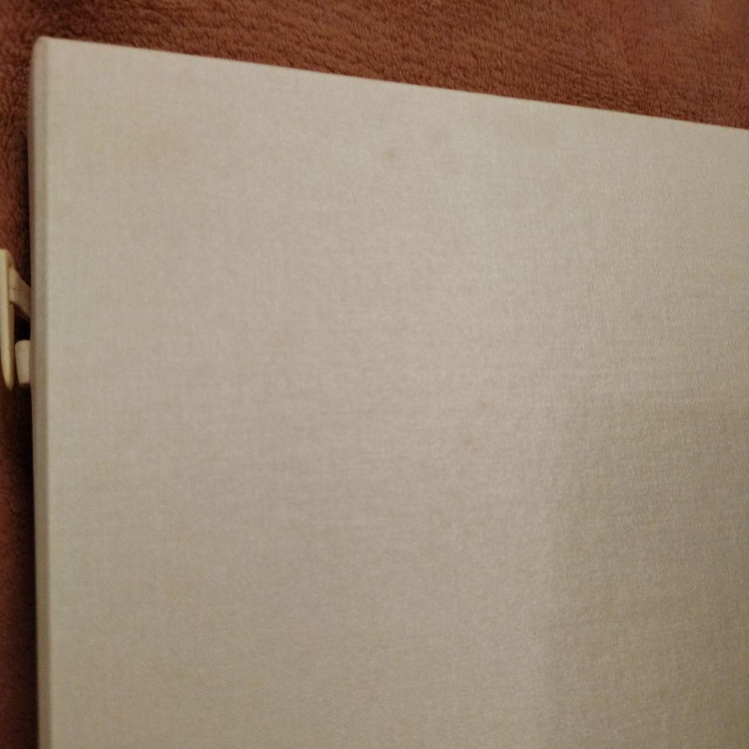 【特装版】松井冬子　画集