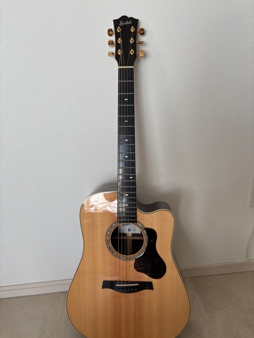 【値下げ】Switch D-70C（純正ギグバッグ付き）美品