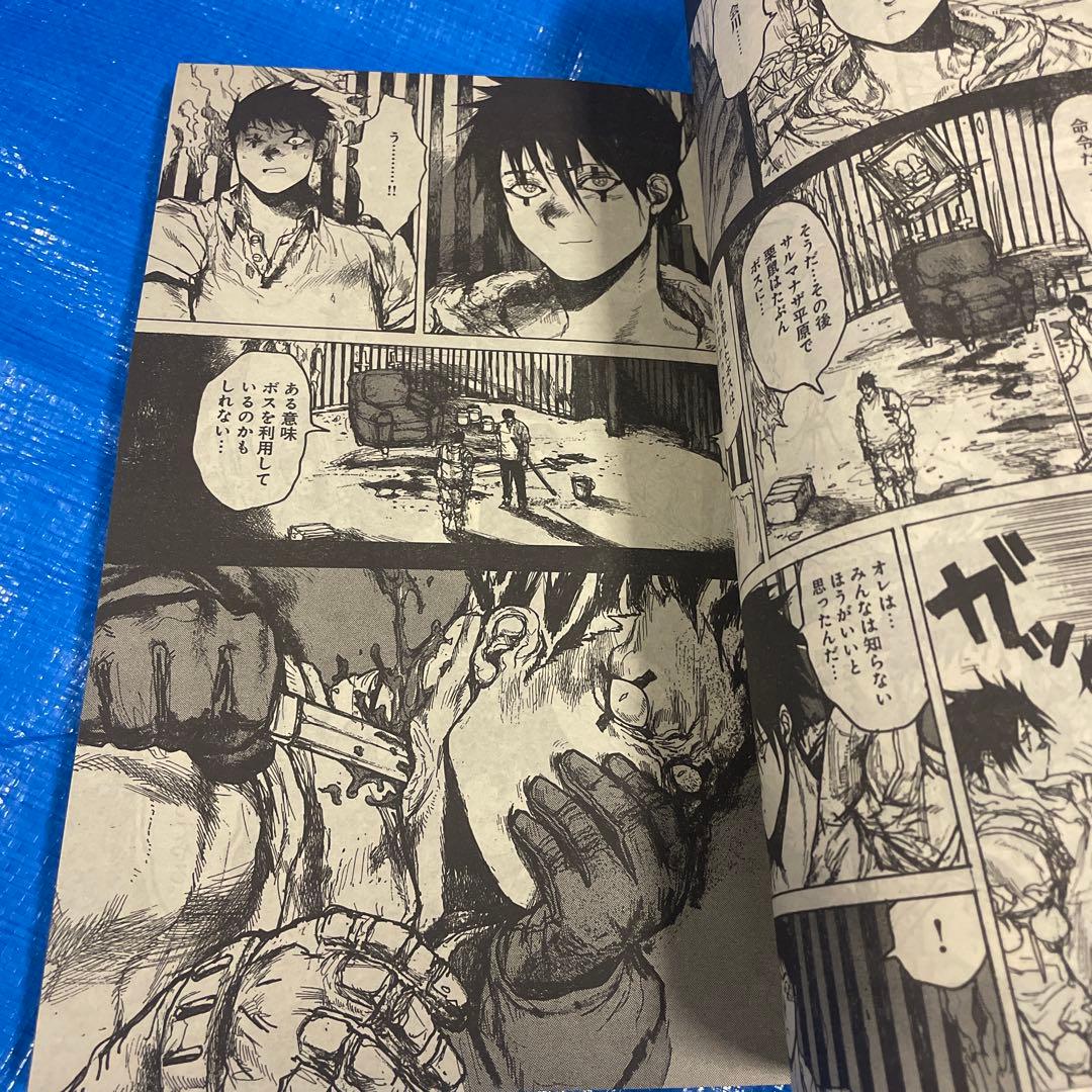 月刊IKKI 月刊イッキ　2008年12月号 ドロヘドロ掲載 青年漫画雑誌