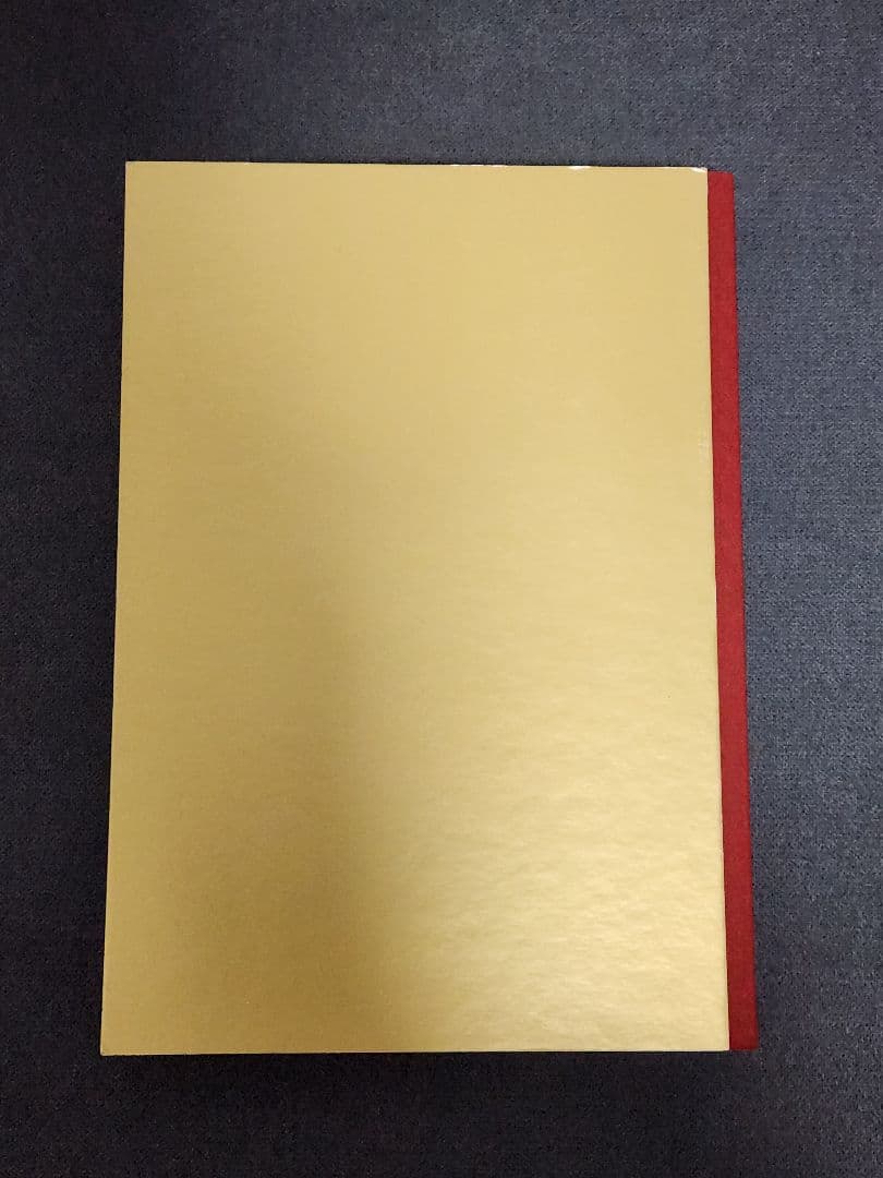 アート・デザイン・音楽 Skinhead: An Archive The Street Edition