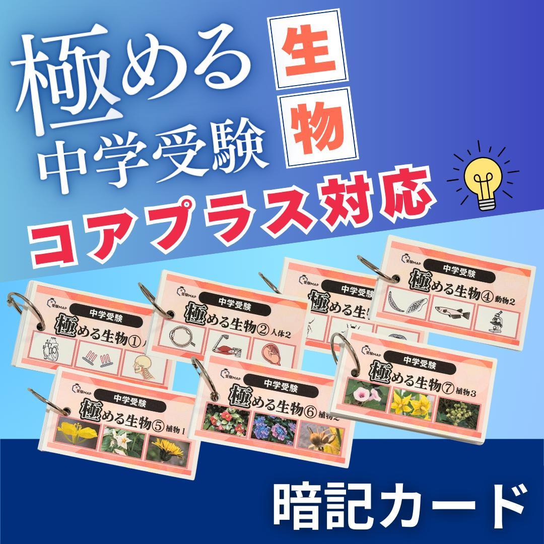 rinrin様 リクエスト 8点 まとめ商品