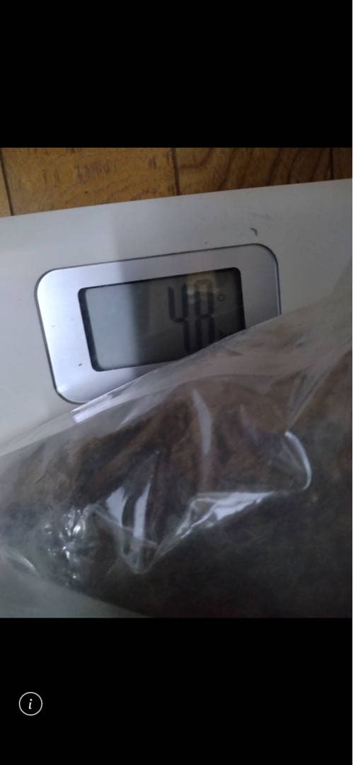 カーバイト4kgカーバイトランプ 手提魚取用 アンティーク照明 キャンプ夜釣り