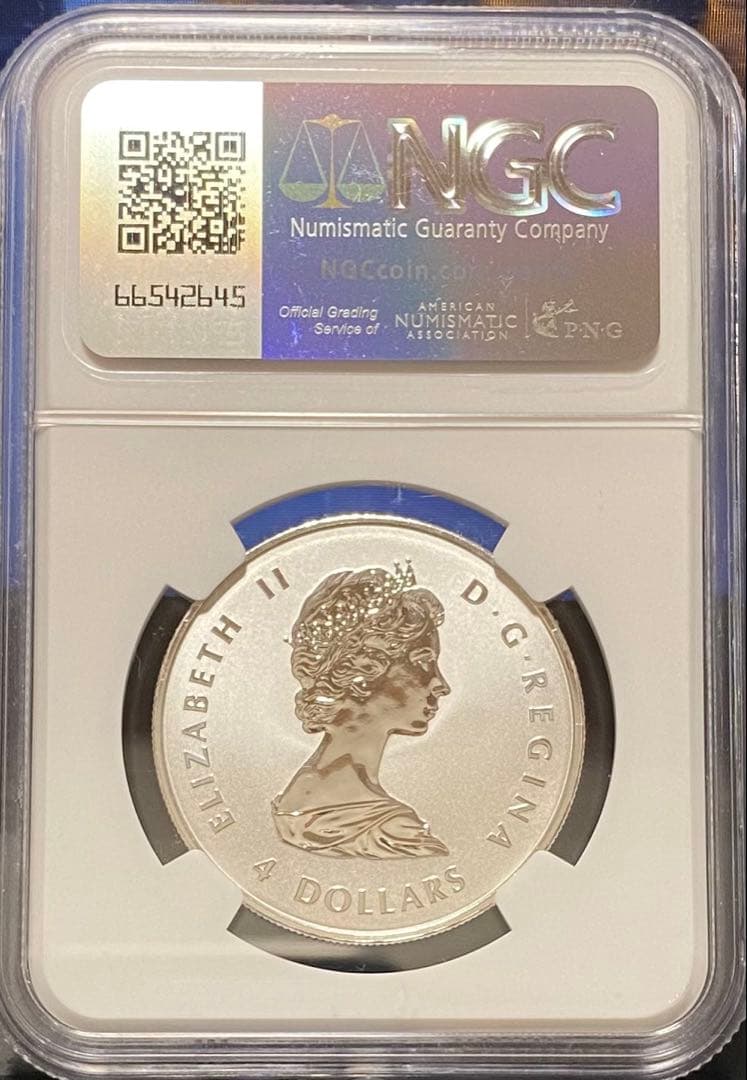 ★ヤングファン必見★最新2025年カナダ メイプルリーフ４ドル 1/2oz 銀貨