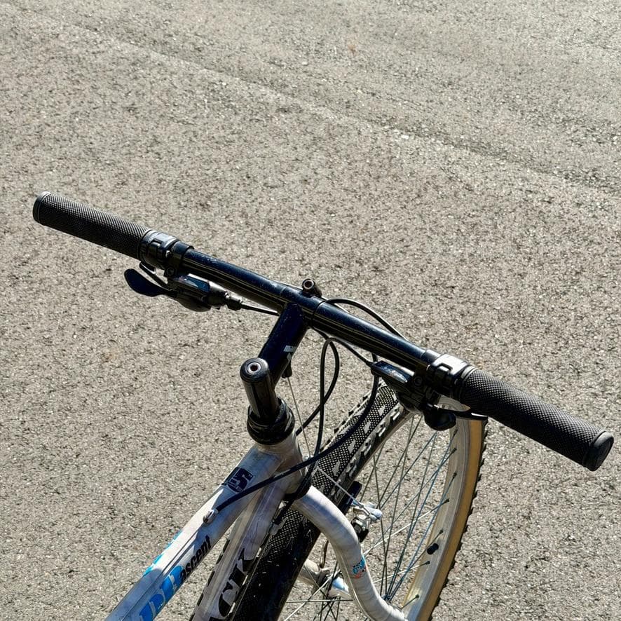 DIAMOND BACK AVENIR equipped26インチ