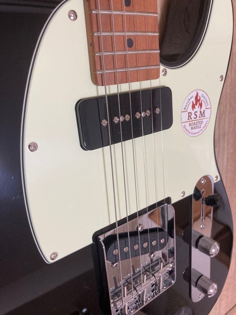 【ほぼ新品】BACCHUS バッカス BTE-2-RSM/M BLK