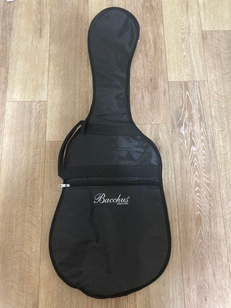 【ほぼ新品】BACCHUS バッカス BTE-2-RSM/M BLK