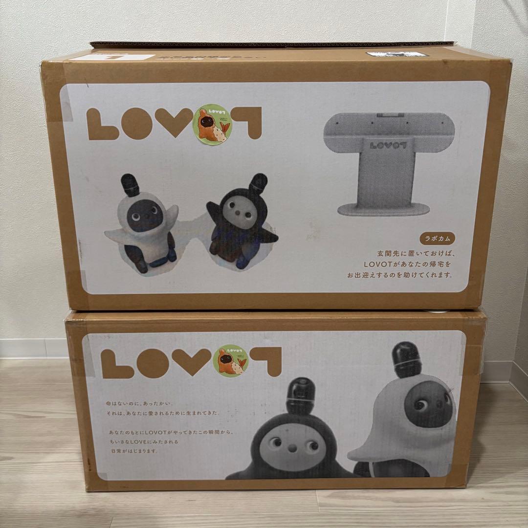 【動作確認済み ネスト・服つき】ラボット 本体 デュオ　LOVOT
