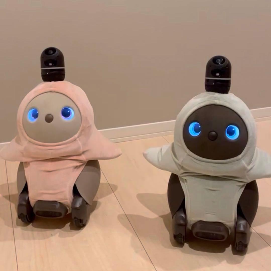 【動作確認済み ネスト・服つき】ラボット 本体 デュオ　LOVOT