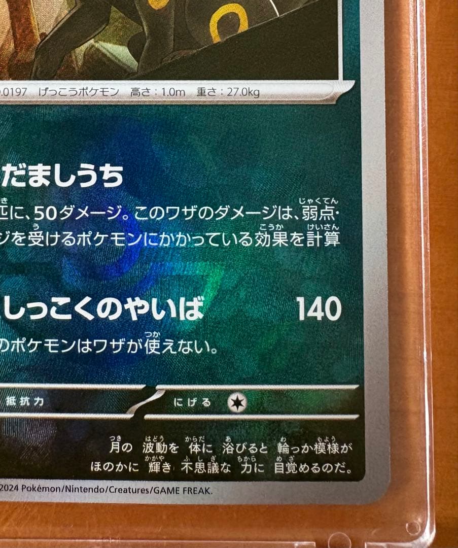 ブラッキー　マスターボール柄　マグネットローダー付き