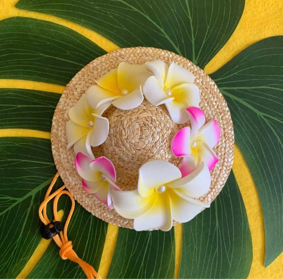 麦わら帽子Ꮇお好みカラー✗ホワイト犬・猫 プルメリア装飾❁handmade