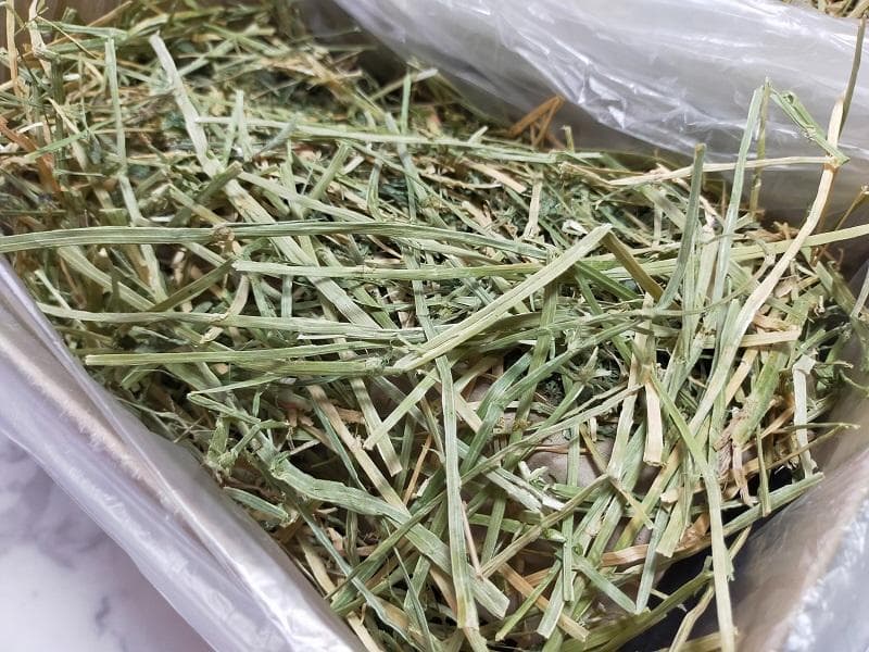 【処分価格】US産 チモシー 75kg ２番刈 ソフトSプレミアム