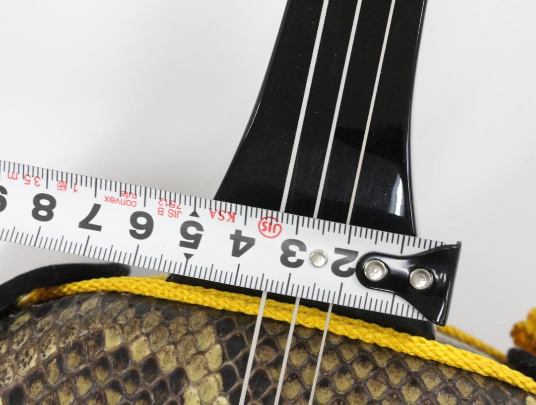 ▲沖縄三味線 和楽器 ハードケース付き 琉球 民謡