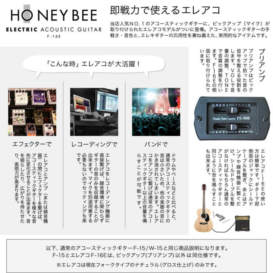 アコースティックギター HONEY BEE F-16E