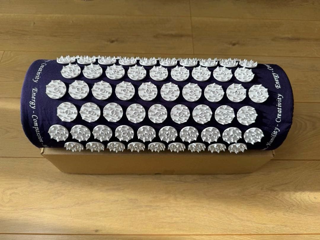 シャクティ shakti クラシックピロー advanced