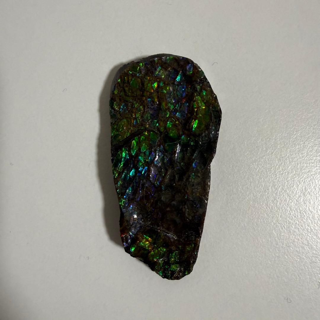 【美遊色】アンモライト 原石 15g アンモナイト化石 標本 コレクション