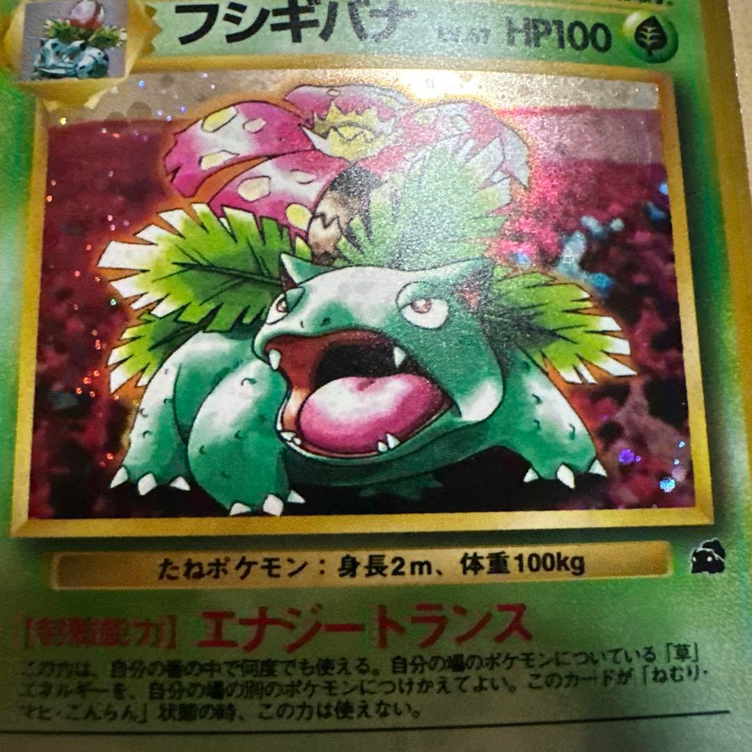 旧裏 フシギバナ カメックス イントロパック