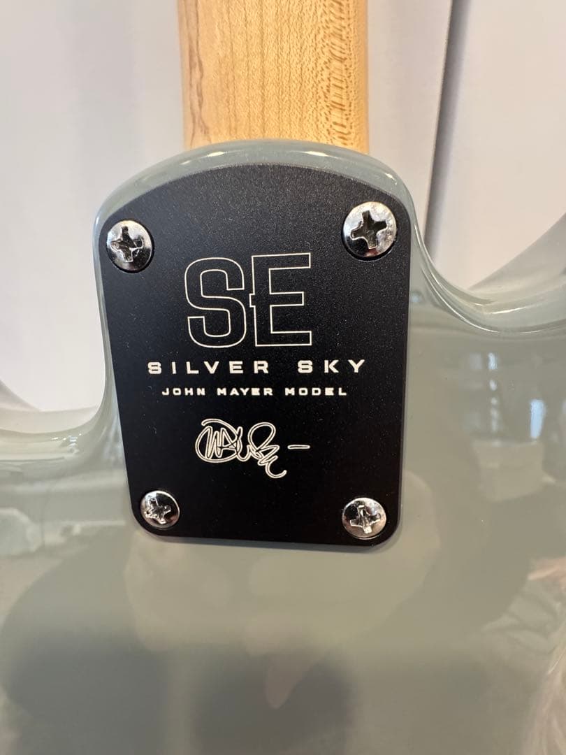ギター Paul Reed Smith SE Silver Sky John Mayer